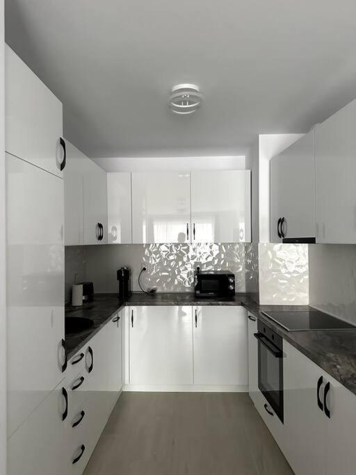 Central River Apartment Kolozsvár Kültér fotó